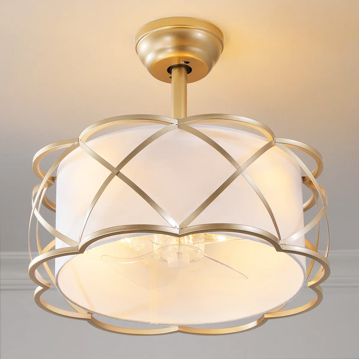 Modern Ceiling Fan with Light