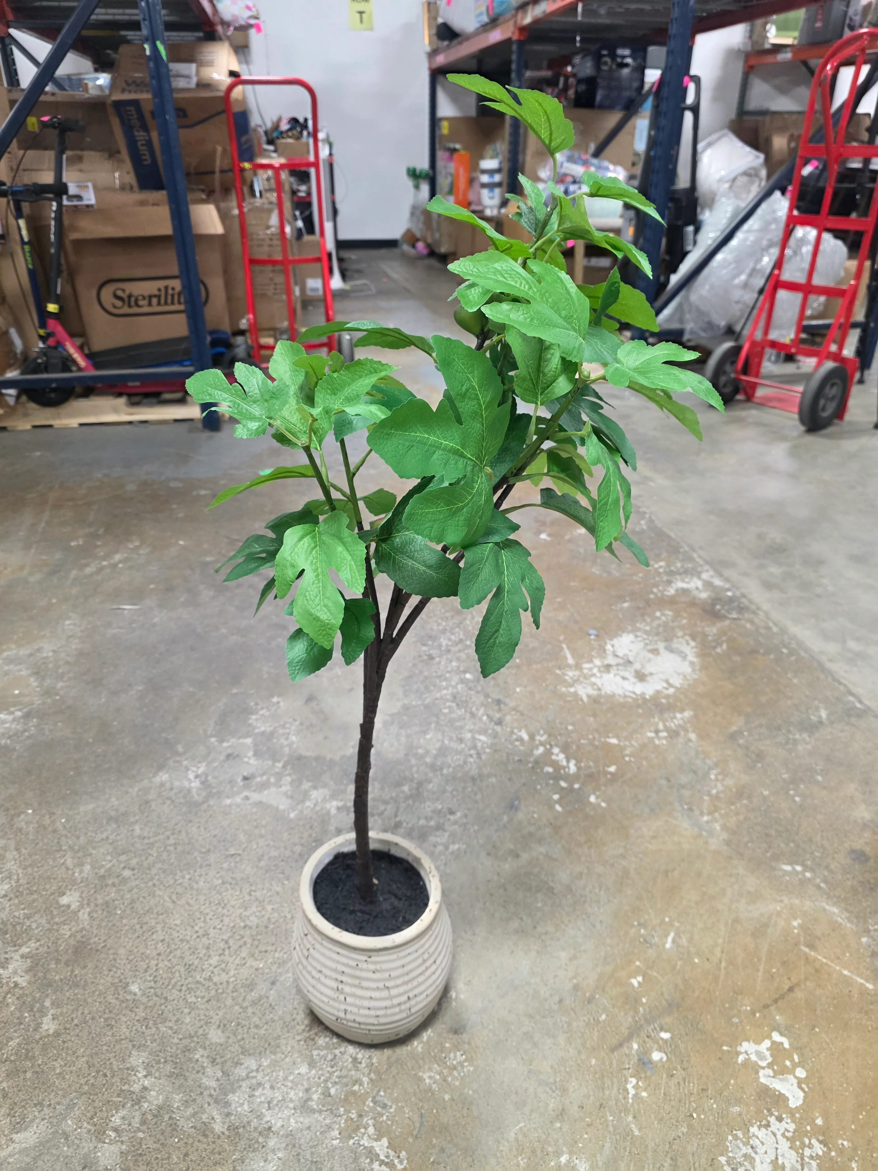 40" Fig Artificial Tree - Threshold - SHOWROOM ITEM - Image 2