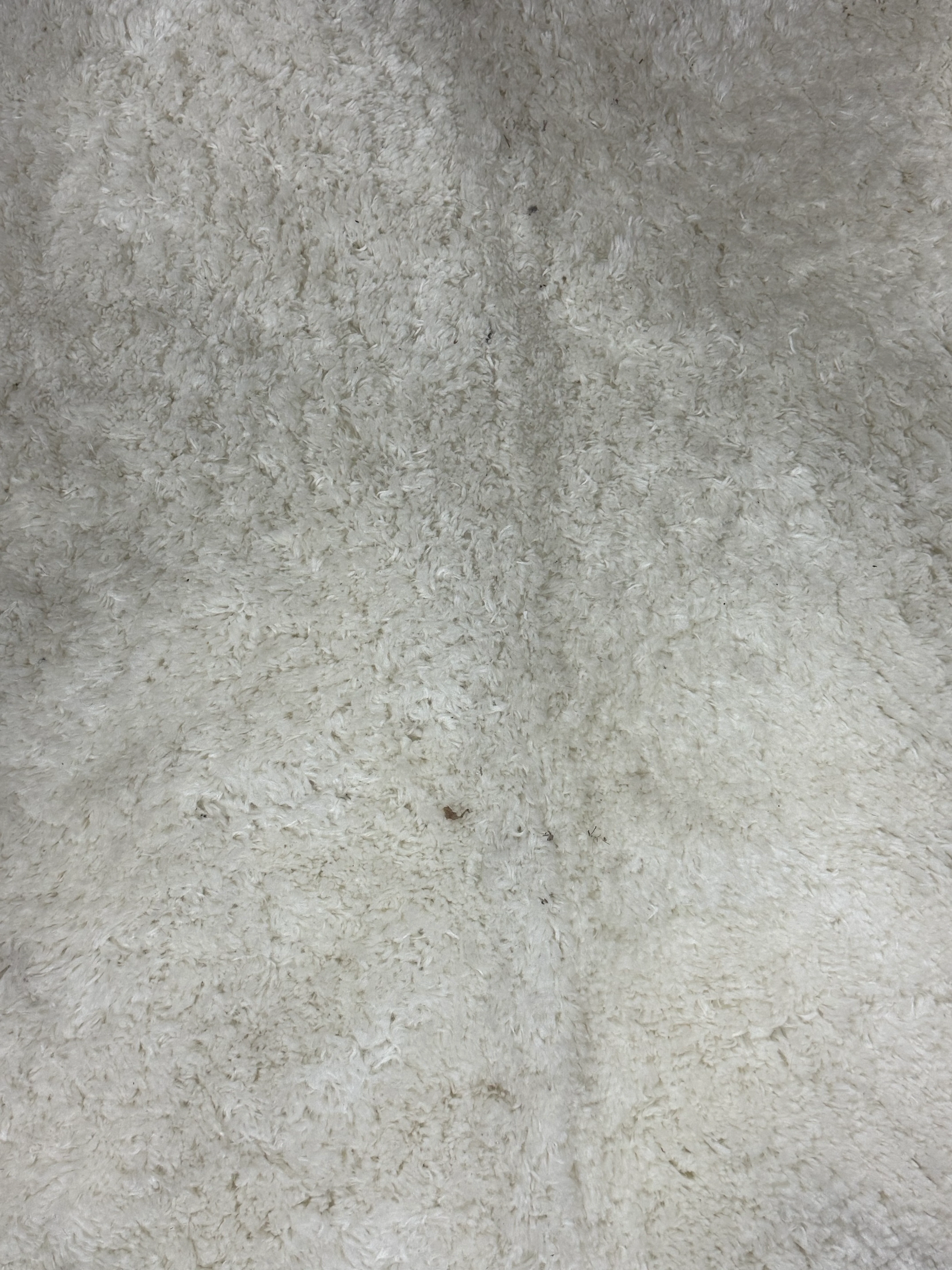Washable Plush Shag Accent Rug Cream 4'x5'6" - Image 4
