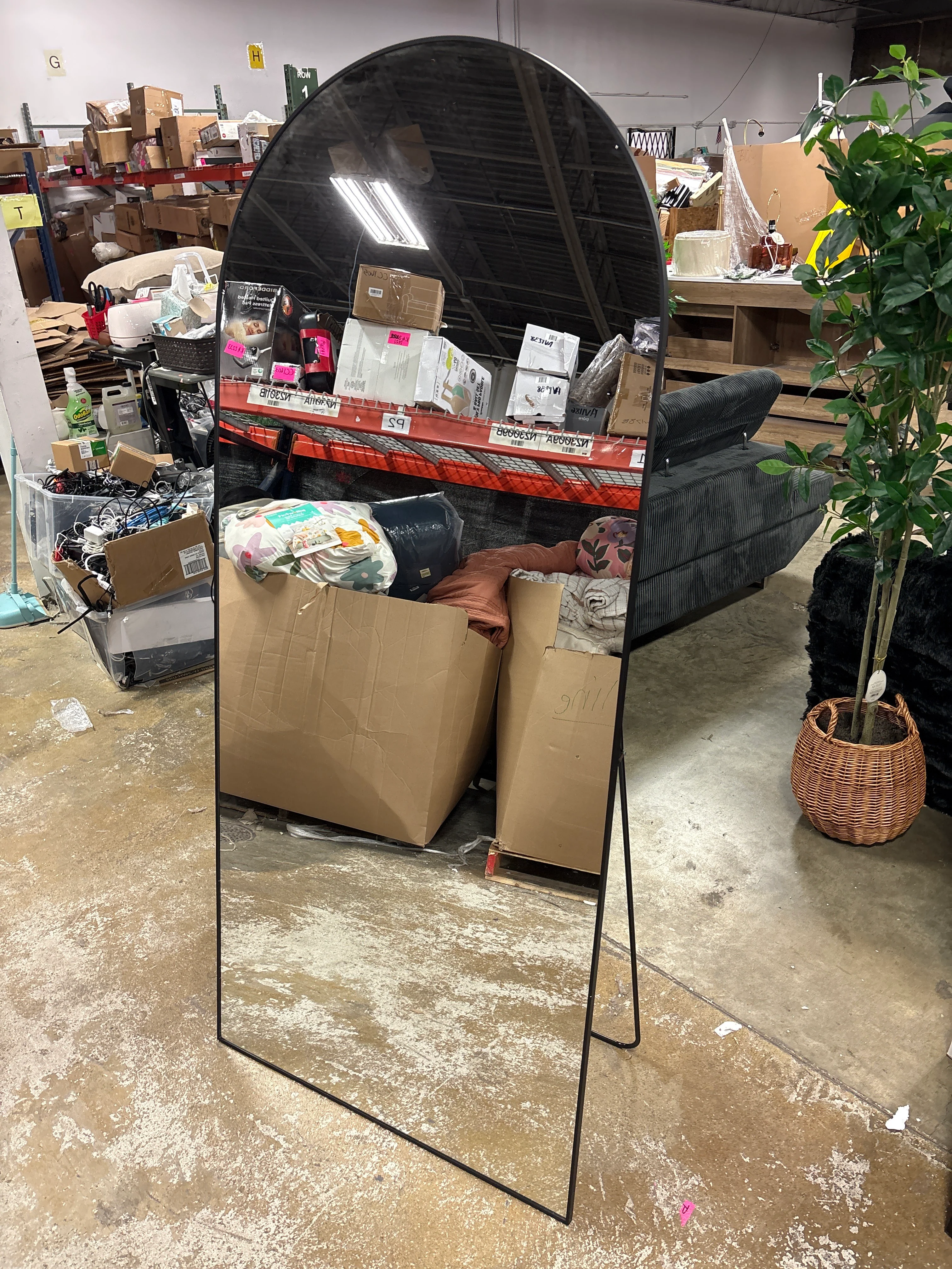 Ayra 32" W x 76" H Modern Arched Bathroom Wall Mirror SHOWROOM ITEM - Image 3