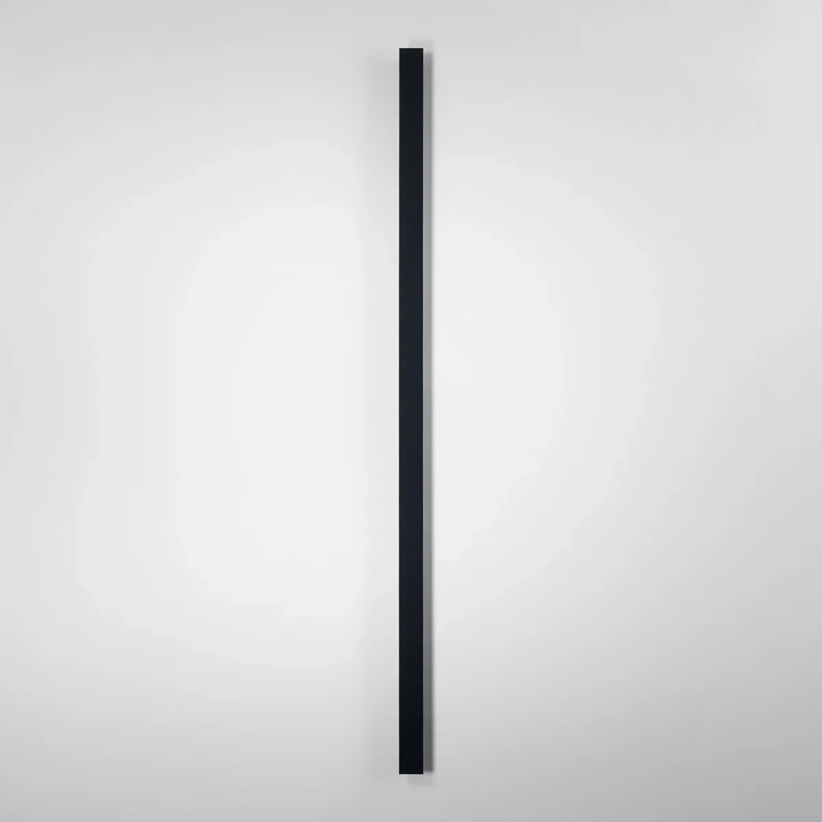Barde Slender Sideway Outdoor Hardwired Bar Wall Sconce with LED Light Source