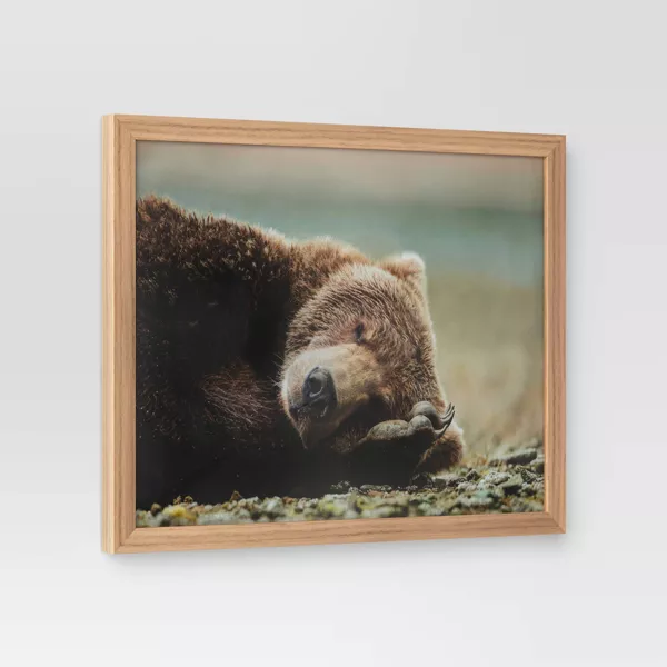 Bear Photography Framed Art Brown - Animal Wall - Image 3