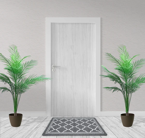Best Design Anti-Slip Door Mat - Image 3