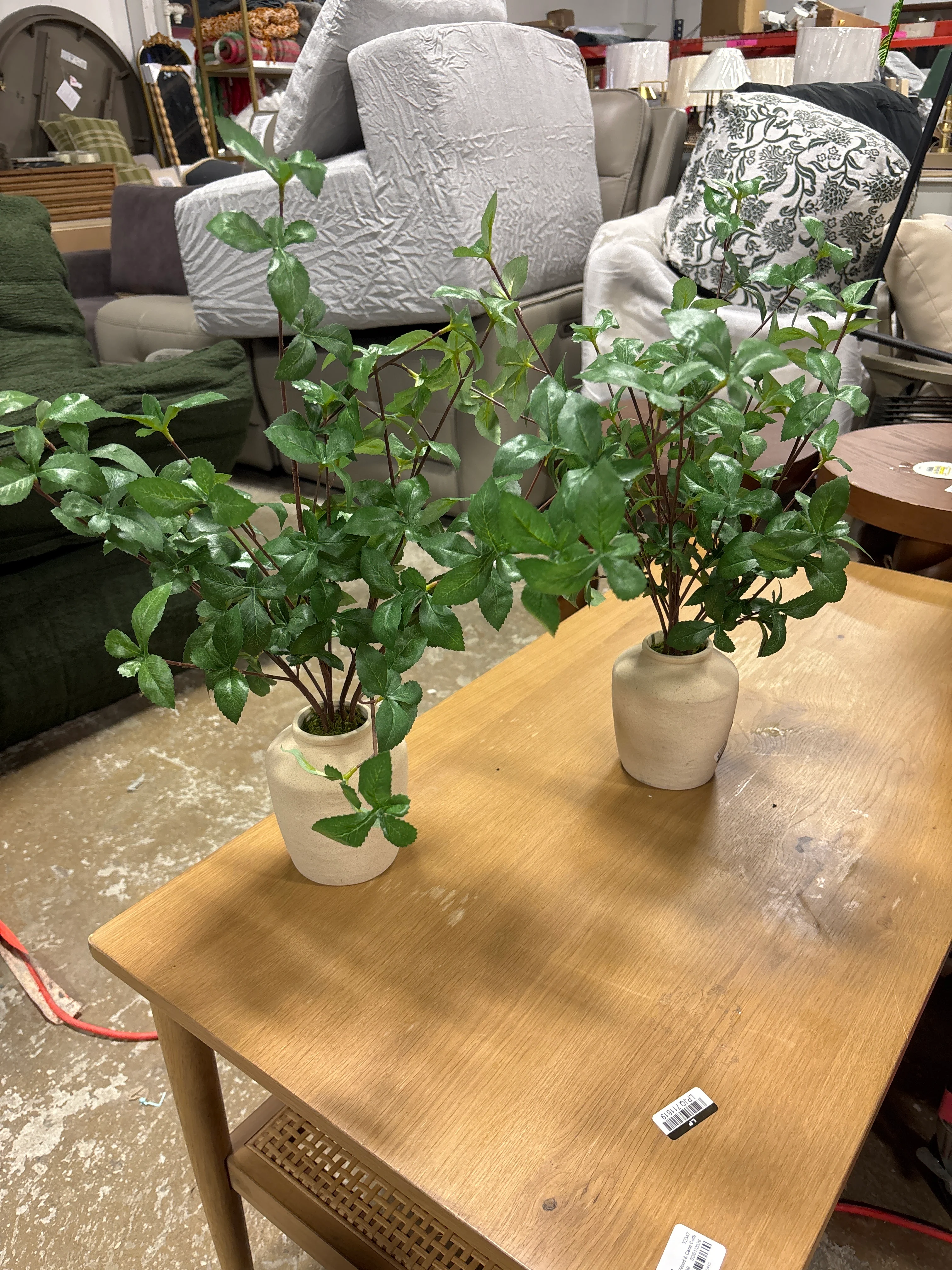 Faux Gypsophila Leaf Plant SHOWROOM ITEM - Image 2