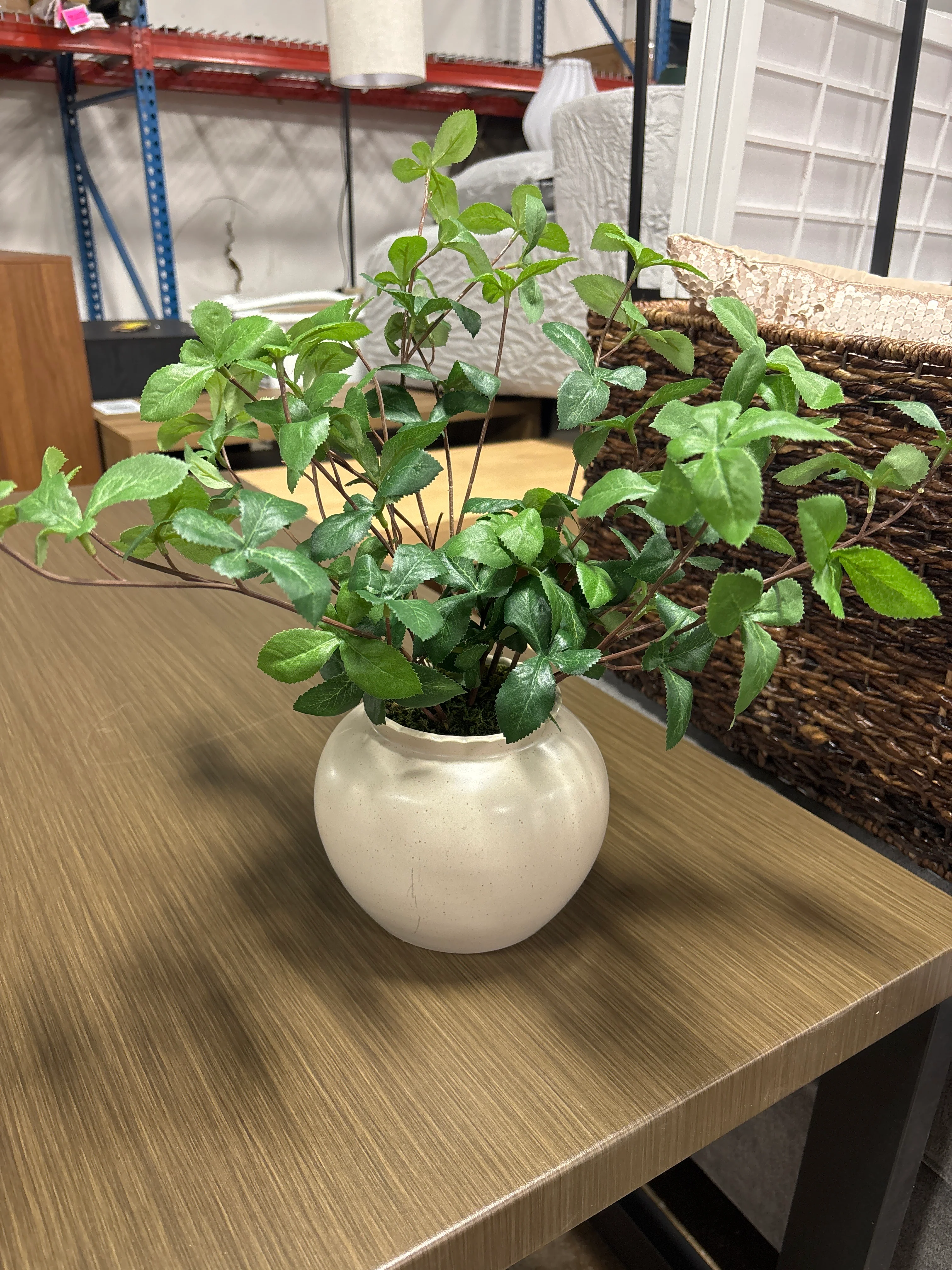 Large Green Gypsophila Artificial Plant - Hearth & Hand™ with Magnolia SHOWROOM ITEM - Image 2