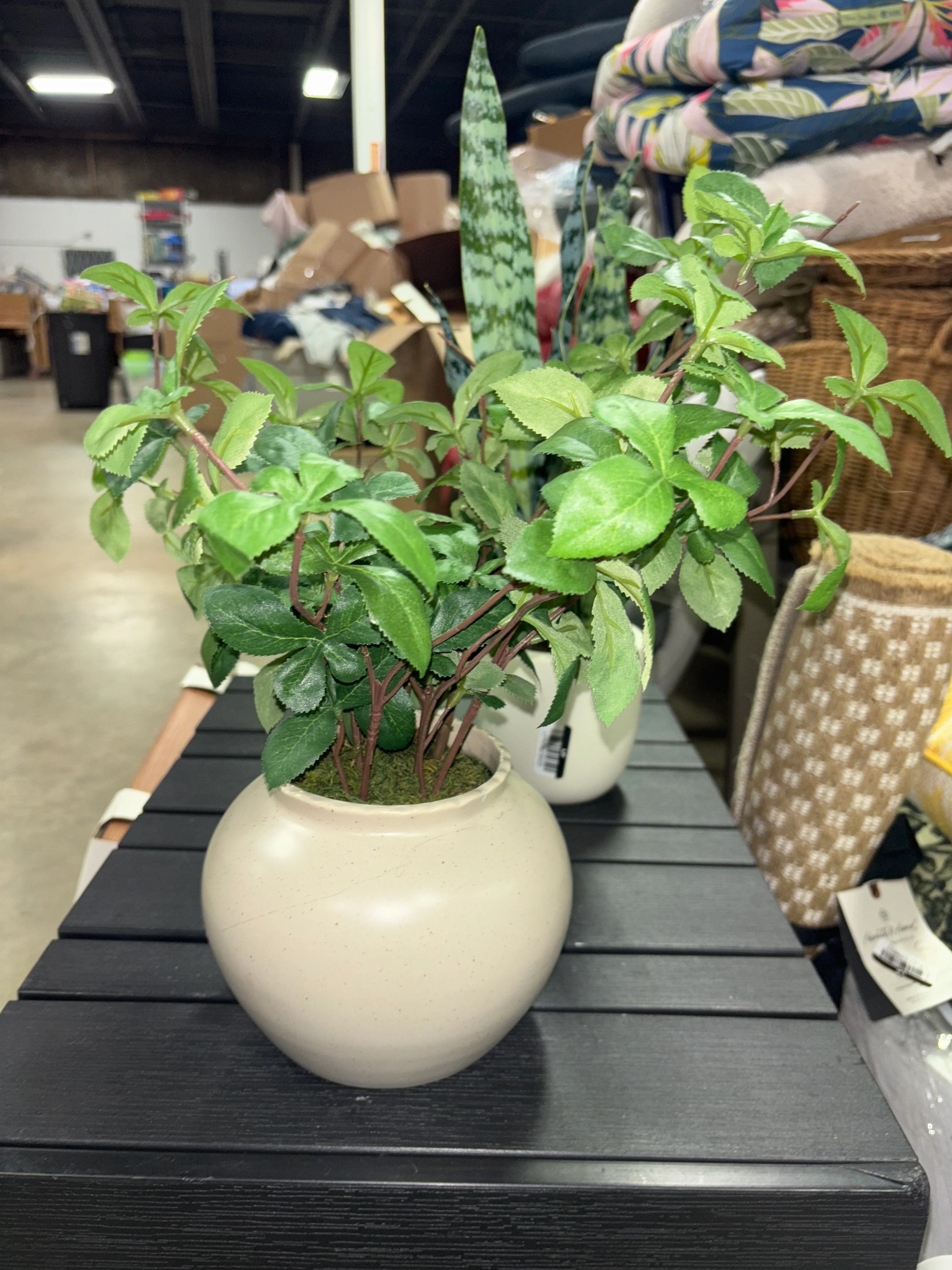 Large Green Gypsophila Artificial Plant SHOWROOM ITEM - Image 2