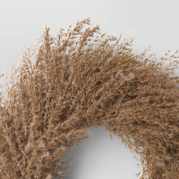 Pampas Preserved Wreath, final cut - Image 3
