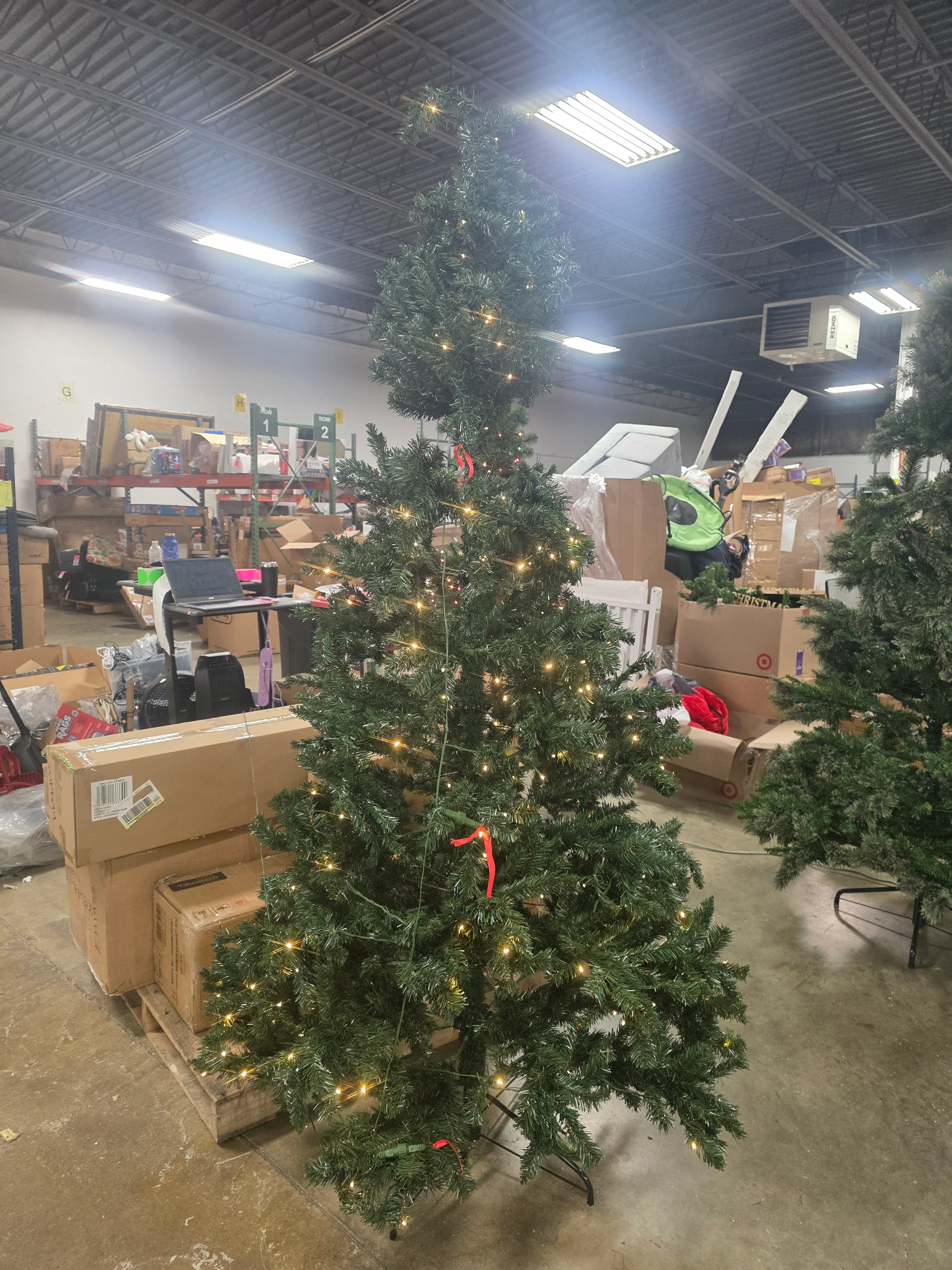 Pre-Lit LED Alberta Spruce Artificial Christmas Tree, final cut - Image 5