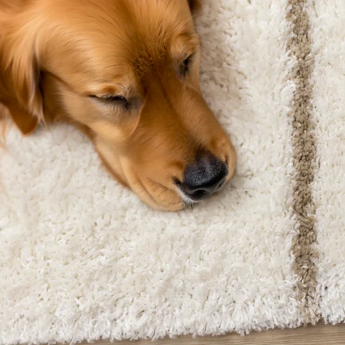 Rustem Cream Beige Dashes Medium-Pile Soft Shag Indoor Area Rug 7'10" x 10'6" - Image 4