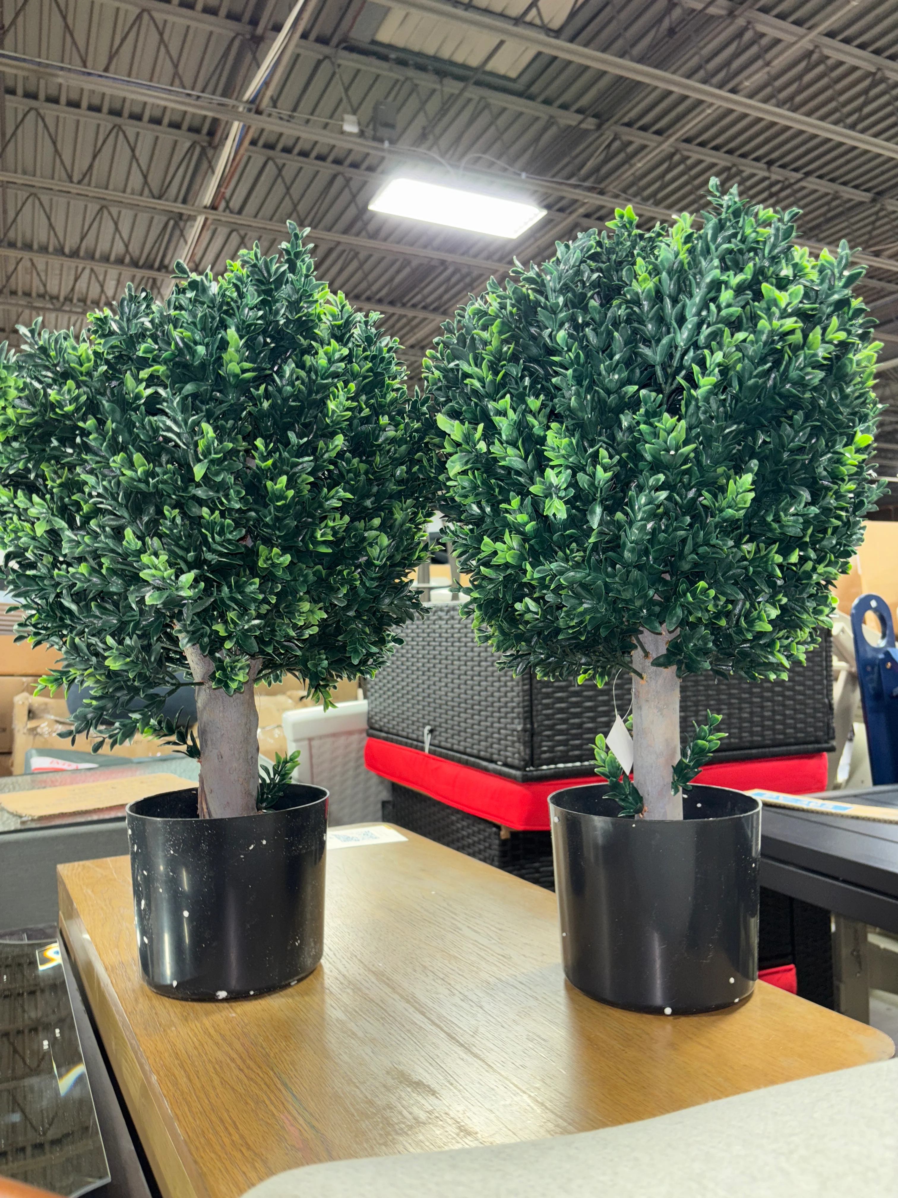 (Set of 2) Hedyotis Artificial Trees - UV-Resistant Fake Plants SHOWROOM ITEM - Image 3