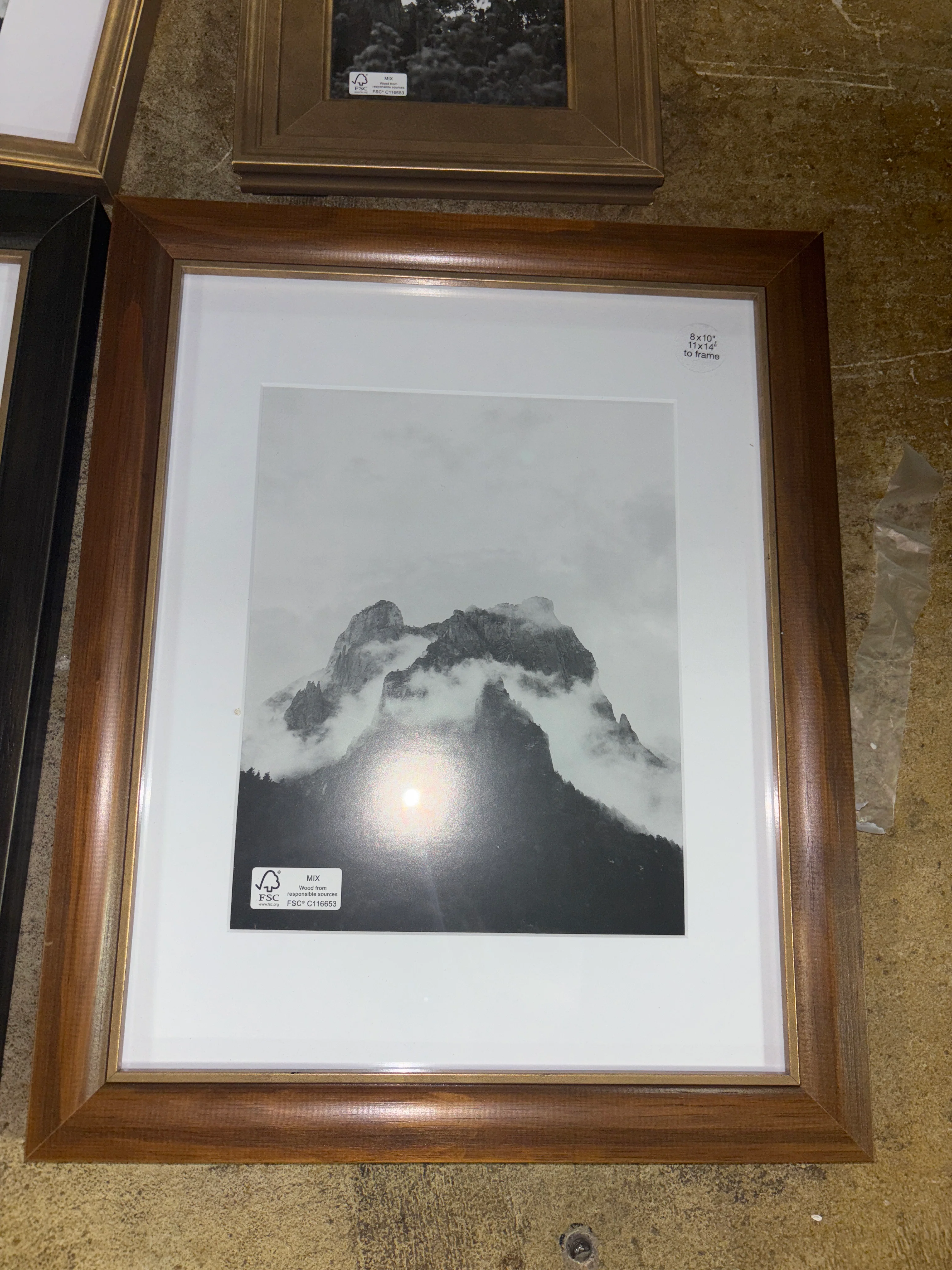 (Set of 5) Real Wood Gallery Frames SHOWROOM ITEM - Image 4
