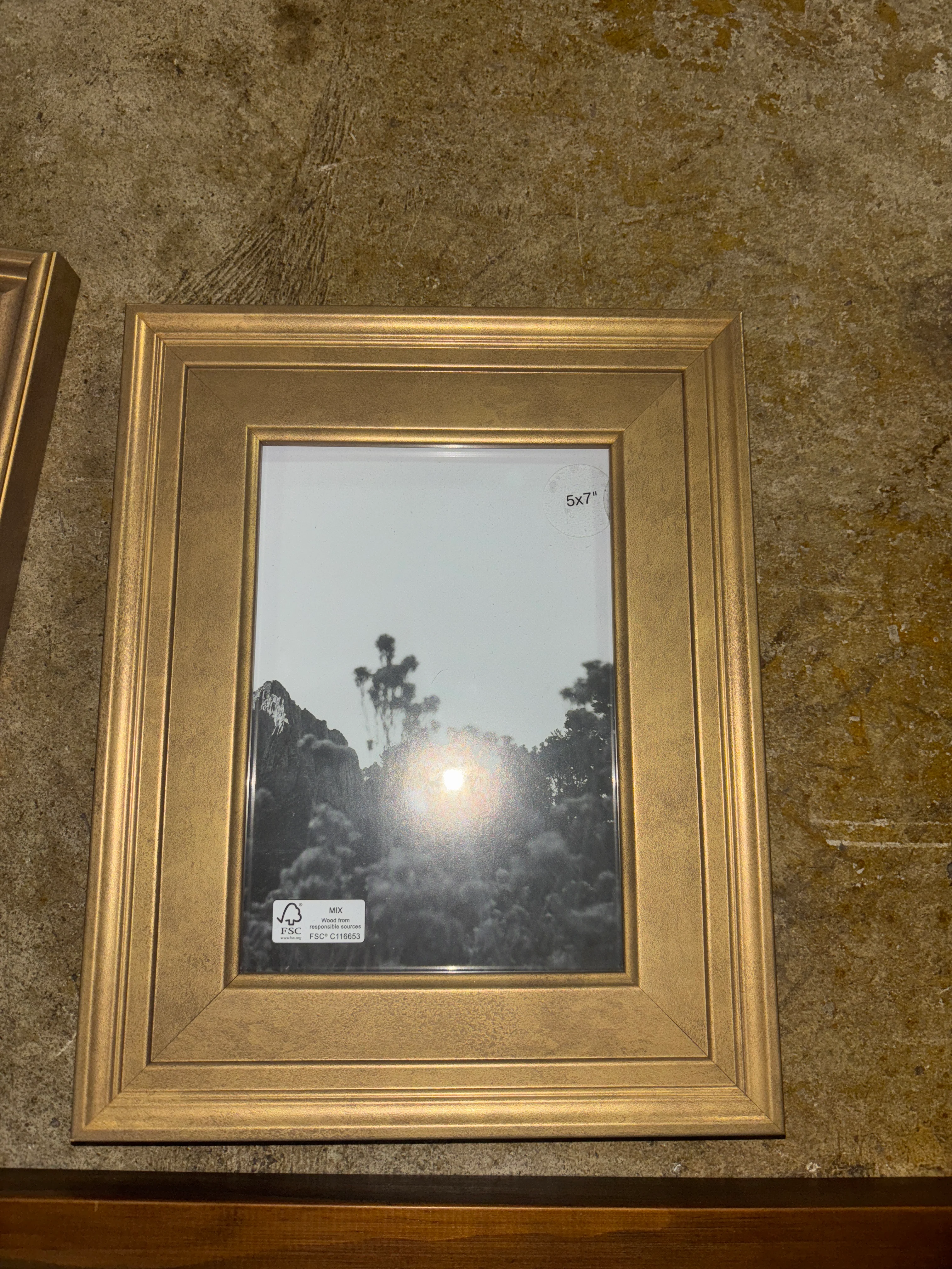 (Set of 5) Real Wood Gallery Frames SHOWROOM ITEM - Image 5