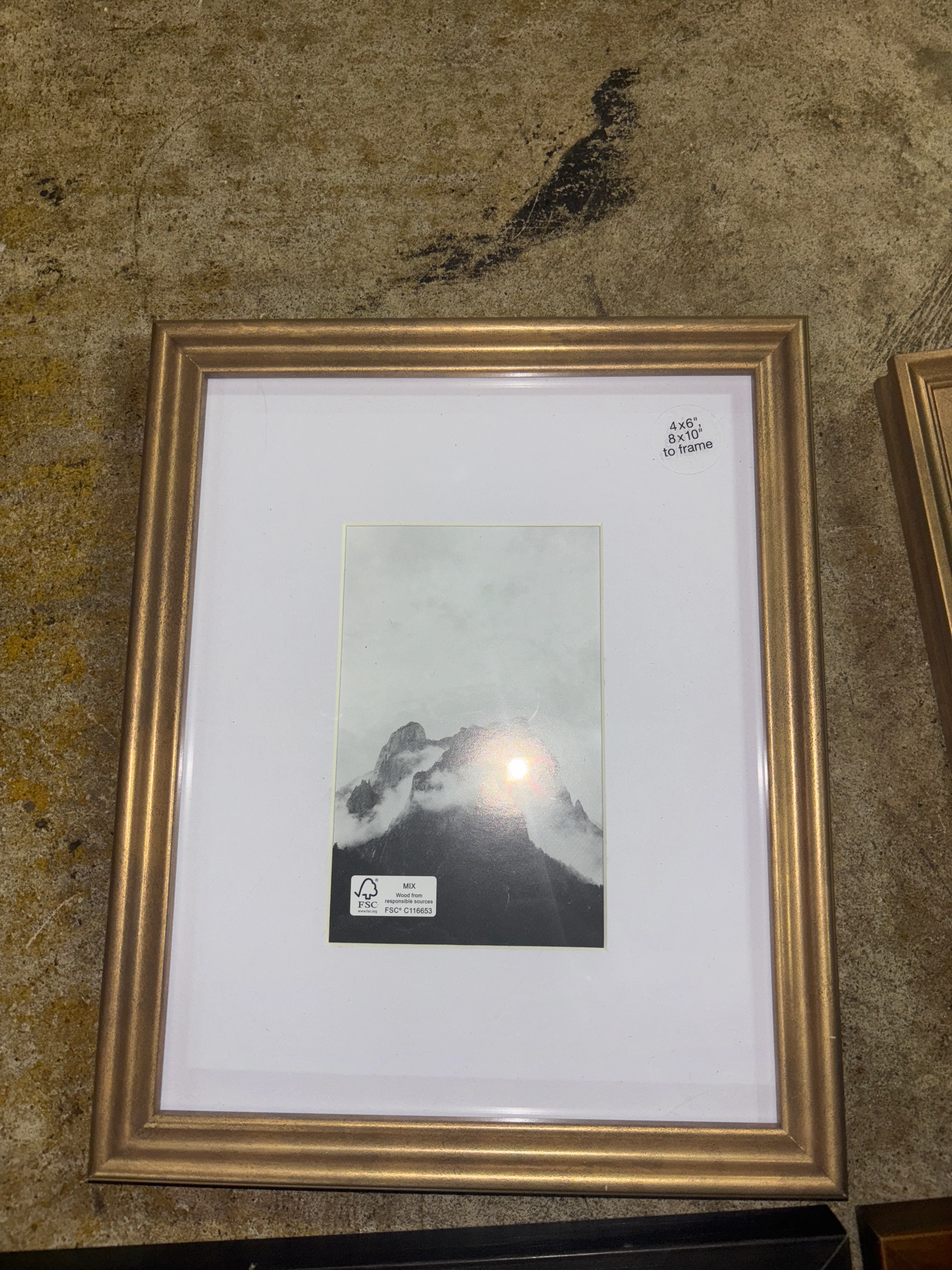 (Set of 5) Real Wood Gallery Frames SHOWROOM ITEM - Image 6