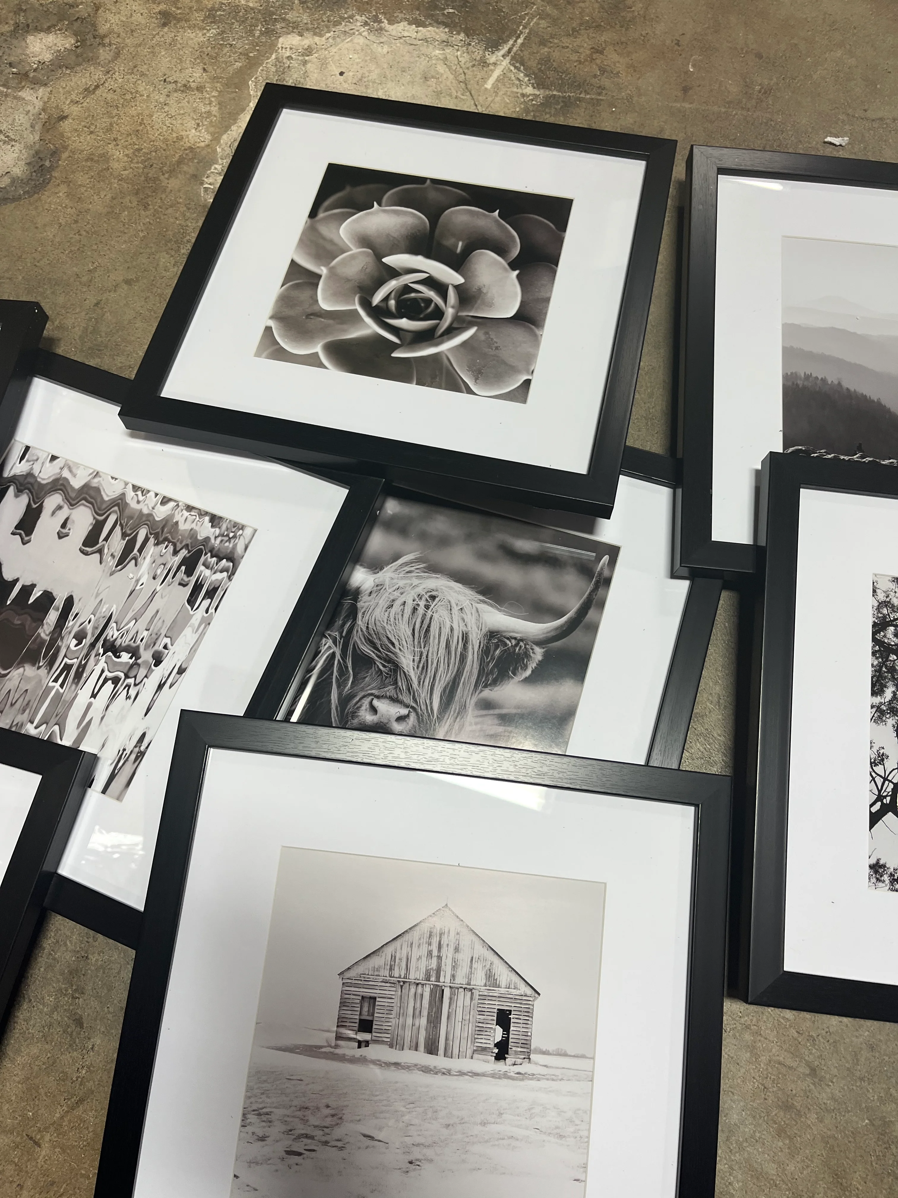 Set of 8 Gallery Grid Kit Black, - Image 9